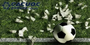 Cá Cược Bóng Đá Sin88 - Đánh Giá Nền Tảng Uy Tín Năm 2025 4 ca cuoc bong da sin88