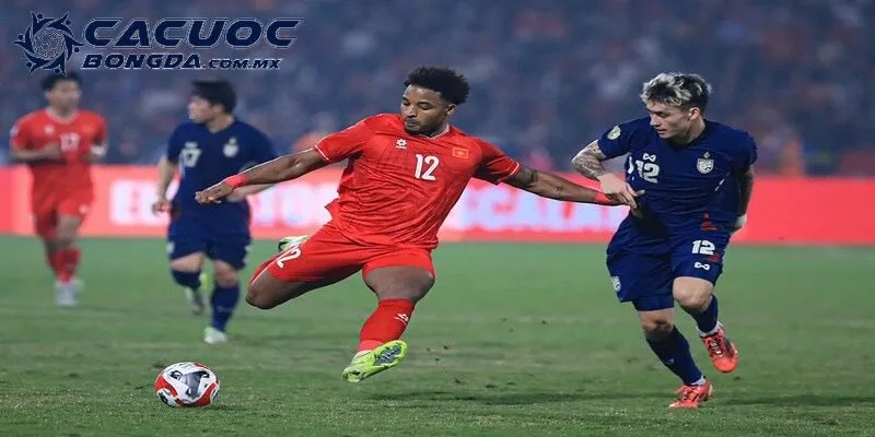 Nhiều giải đấu được cập nhật liên tục mỗi ngày
