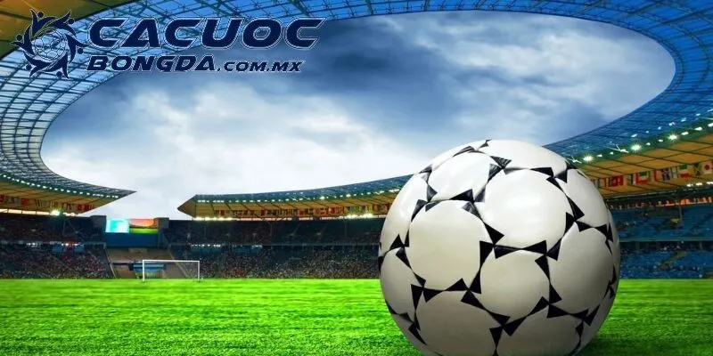Lịch thi đấu được xem như là 1 bản kế hoạch chi tiết nhất 