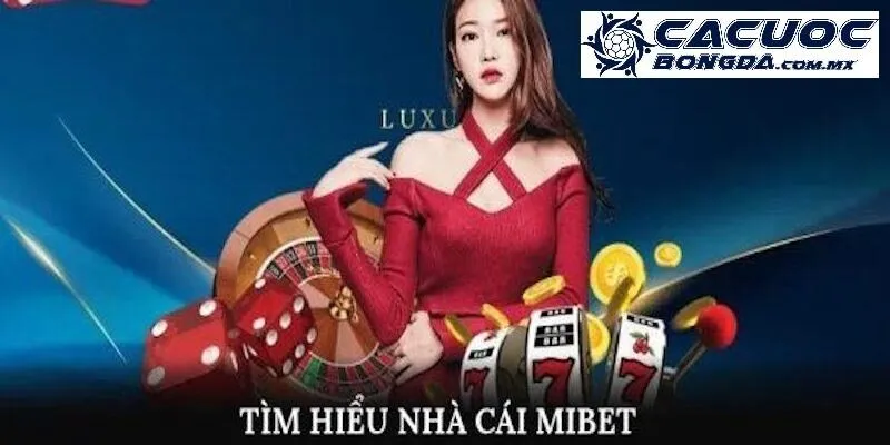 Tổng hợp những lý do khiến bạn nên chọn Mibet để trải nghiệm cá cược