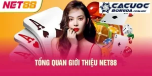 net88 anh dai dien