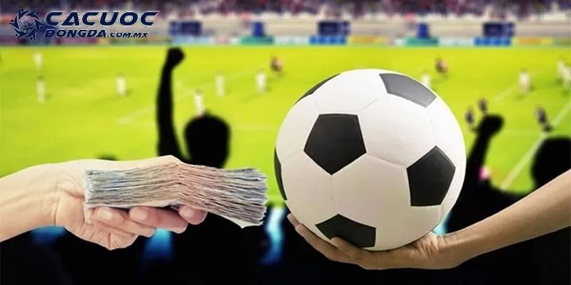 Soi kèo Tài Xỉu – Cách phân tích tỷ lệ bàn thắng hiệu quả nhất