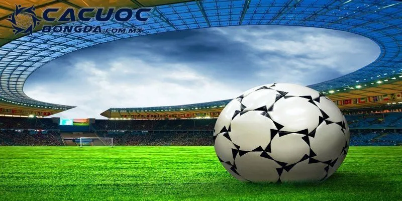 Trang Cá Cược Bóng Đá 8live Mang Đến Trải Nghiệm Thú Vị