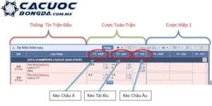 ty le keo bong da anh dai dien