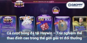Cá cược bóng đá tại Haywin – Trải nghiệm thể thao đỉnh cao trong thế giới giải trí đổi thưởng