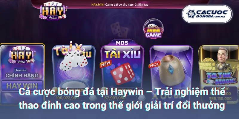 Cá cược bóng đá tại Haywin – Trải nghiệm thể thao đỉnh cao trong thế giới giải trí đổi thưởng
