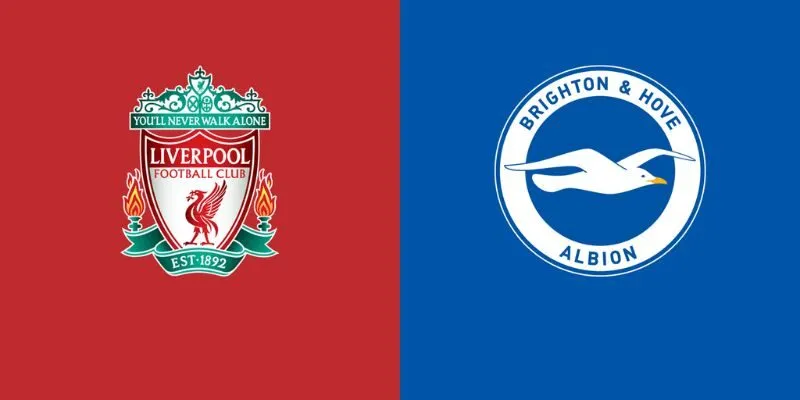 Soi Kèo Liverpool Vs Brighton & Hove Albion 22h 13/12 – EPL