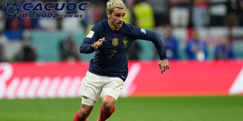 Giới Thiệu Trang Cá Cược Bóng Đá - Dịch Vụ Uy Tín, Chất Lượng 3 Tin tức của trang hữu ích, chuẩn xác