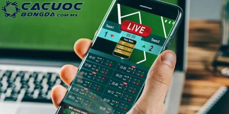 Giới Thiệu Trang Cá Cược Bóng Đá - Dịch Vụ Uy Tín, Chất Lượng 2 Cập nhật tỷ lệ kèo bóng đá của nhà cái