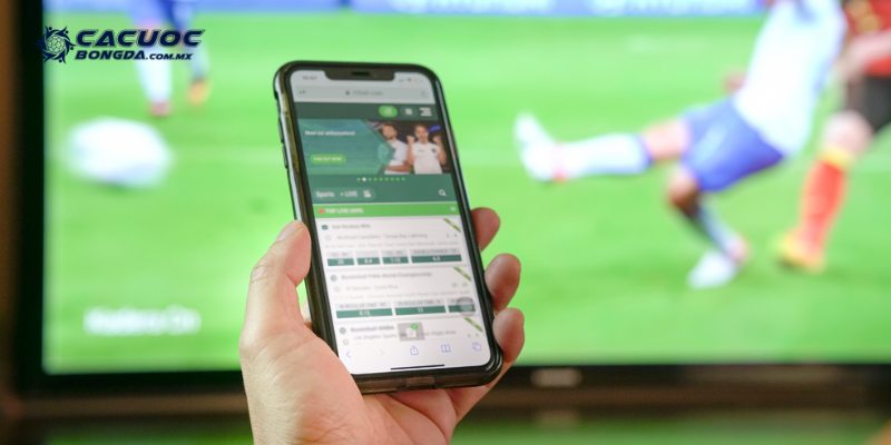 Nắm vững tình hình lực lượng để dự đoán kết quả