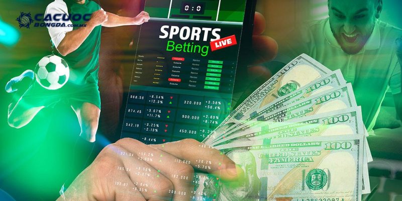 Soi kèo hỗ trợ xác định kết quả cuối cùng